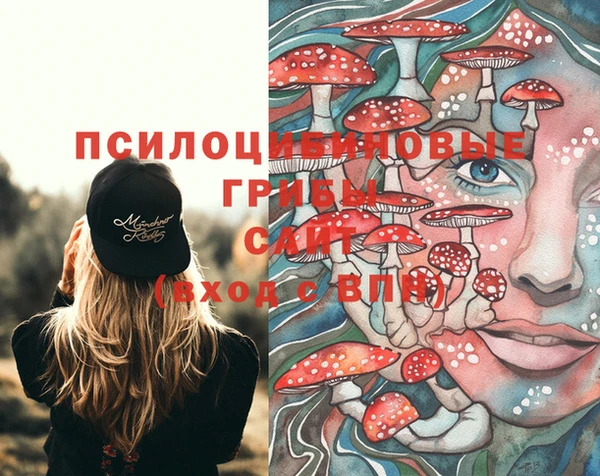 спайс Алексеевка