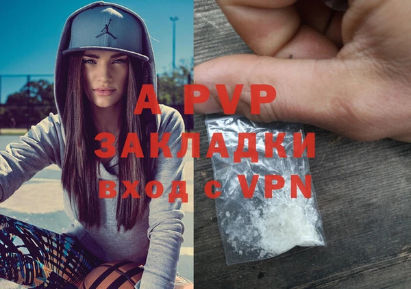spice Алексин
