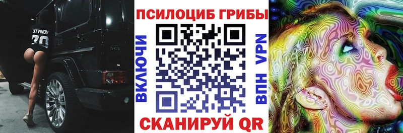 Псилоцибиновые грибы Psilocybe  Саров 