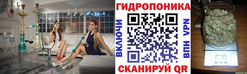 Шишки марихуана план  omg зеркало  Саров  продажа наркотиков 
